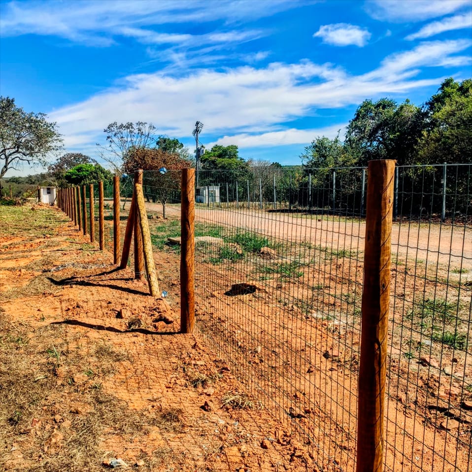 Imagem JPG, Indisponível