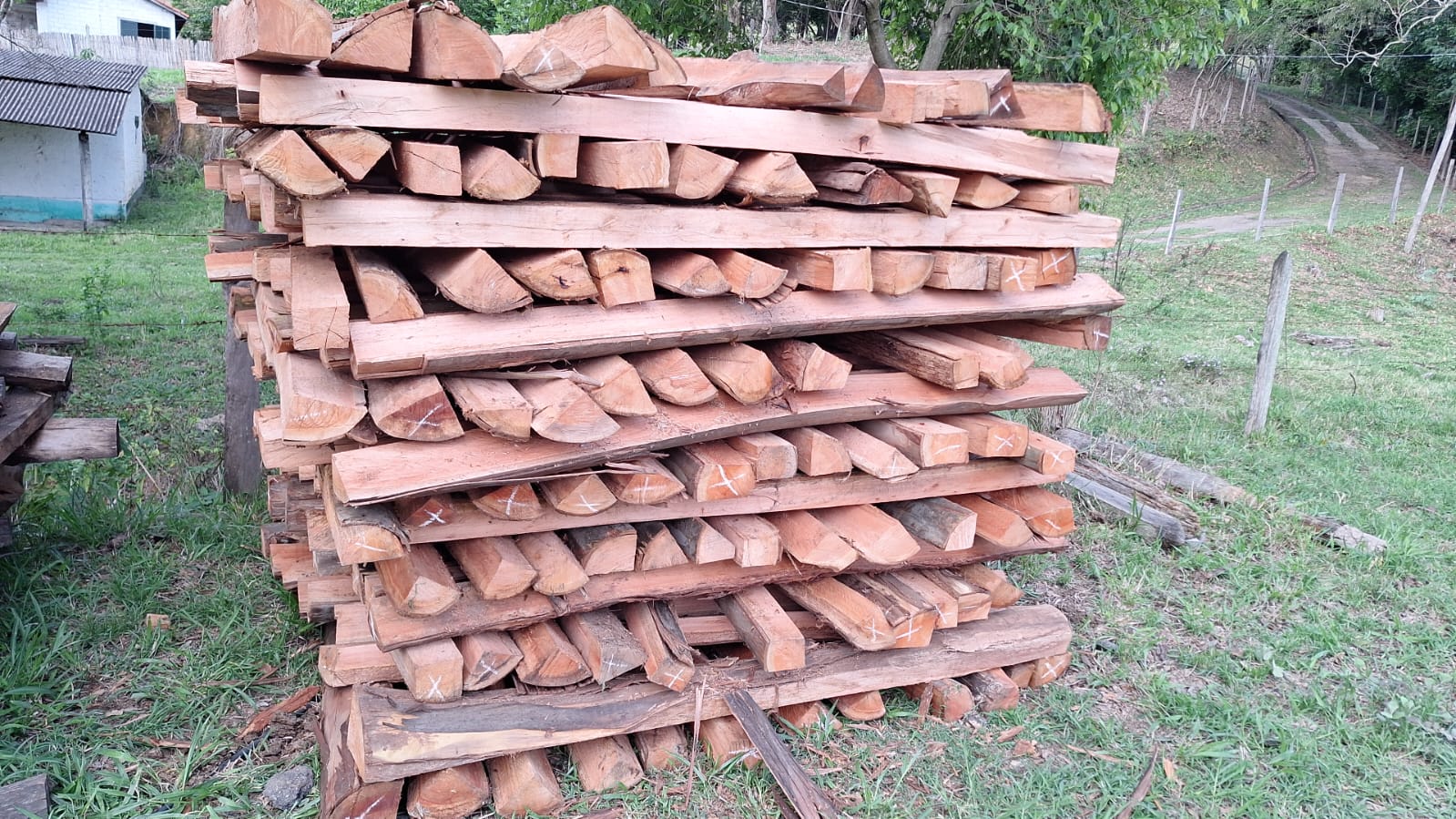 Mourões de Eucalipto vermelho